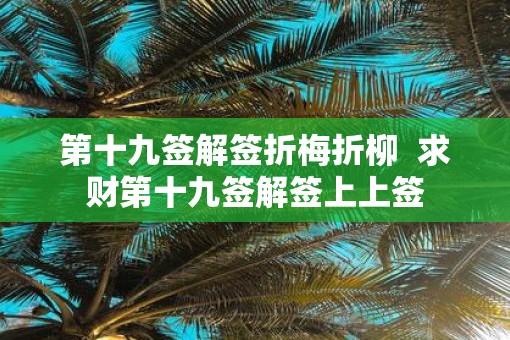 第十九签解签折梅折柳  求财第十九签解签上上签