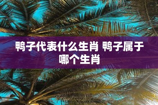 鸭子代表什么生肖 鸭子属于哪个生肖