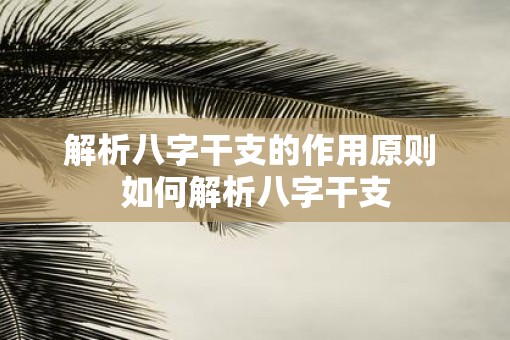 解析八字干支的作用原则 如何解析八字干支