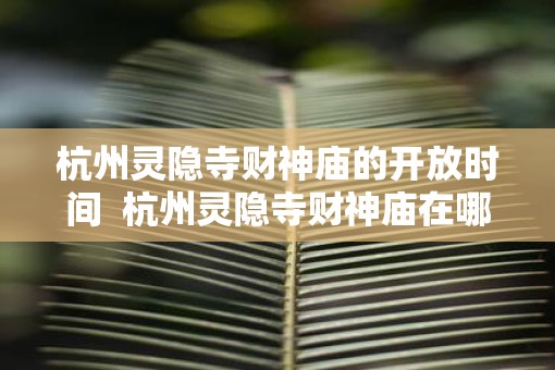 杭州灵隐寺财神庙的开放时间  杭州灵隐寺财神庙在哪里