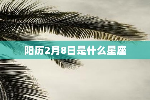 阳历2月8日是什么星座