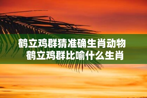 鹤立鸡群猜准确生肖动物  鹤立鸡群比喻什么生肖