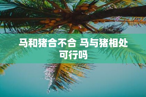 马和猪合不合 马与猪相处可行吗
