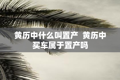 黄历中什么叫置产  黄历中买车属于置产吗