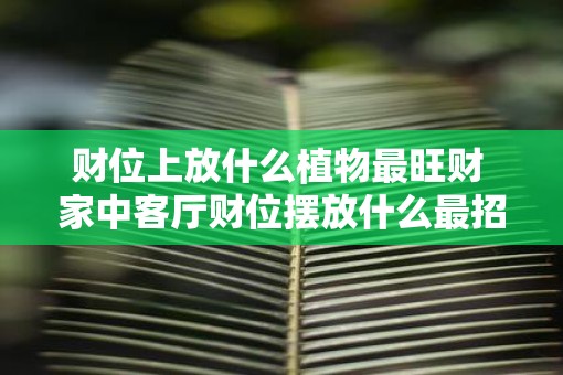 财位上放什么植物最旺财 家中客厅财位摆放什么最招财