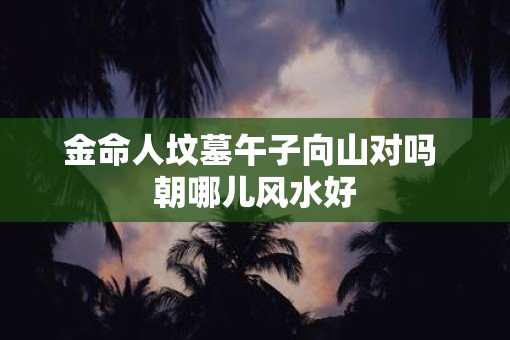 金命人坟墓午子向山对吗 朝哪儿风水好