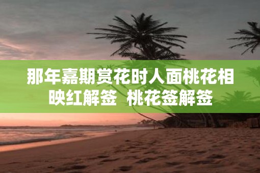 那年嘉期赏花时人面桃花相映红解签  桃花签解签