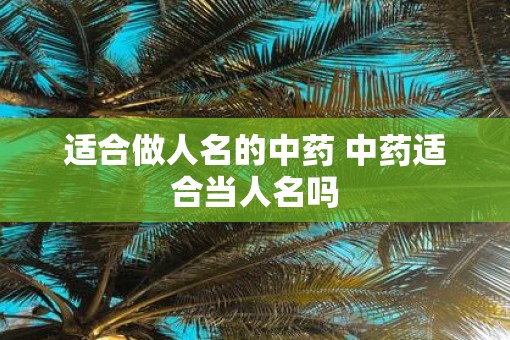 适合做人名的中药 中药适合当人名吗