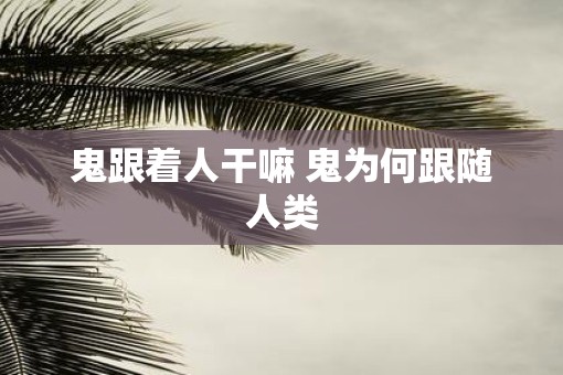 鬼跟着人干嘛 鬼为何跟随人类
