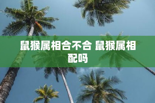 鼠猴属相合不合 鼠猴属相配吗