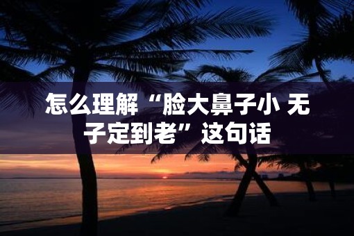 怎么理解“脸大鼻子小 无子定到老”这句话