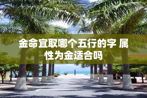 金命宜取哪个五行的字 属性为金适合吗