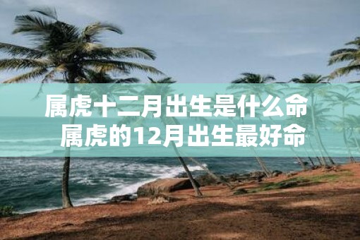 属虎十二月出生是什么命  属虎的12月出生最好命