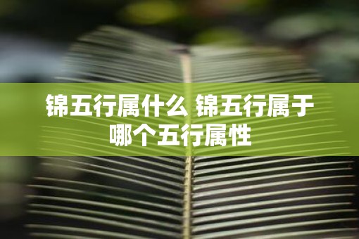 锦五行属什么 锦五行属于哪个五行属性