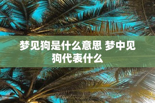 梦见狗是什么意思 梦中见狗代表什么