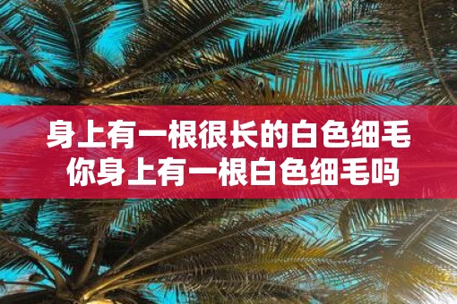 身上有一根很长的白色细毛 你身上有一根白色细毛吗