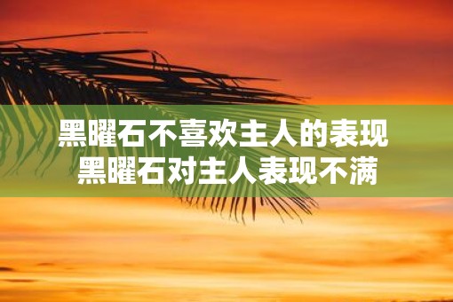 黑曜石不喜欢主人的表现 黑曜石对主人表现不满 黑曜石不喜欢主人的表现 黑曜石对主人表现不满