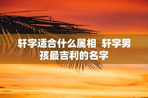 轩字适合什么属相  轩字男孩最吉利的名字