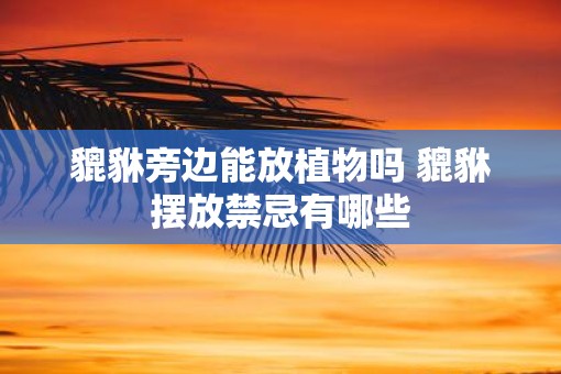 貔貅旁边能放植物吗 貔貅摆放禁忌有哪些