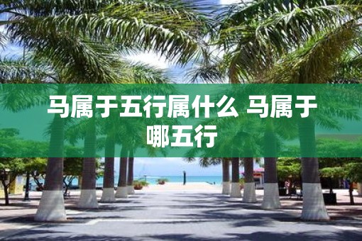 马属于五行属什么 马属于哪五行