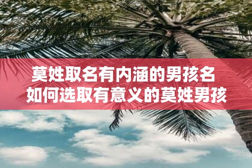 莫姓取名有内涵的男孩名 如何选取有意义的莫姓男孩名