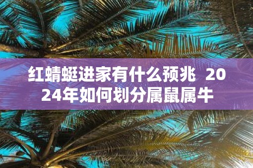 红蜻蜓进家有什么预兆  2025年如何划分属鼠属牛
