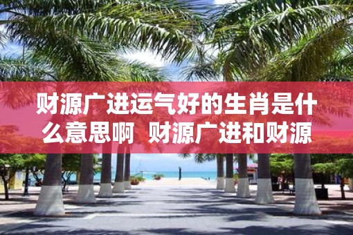 财源广进运气好的生肖是什么意思啊  财源广进和财源滚滚区别