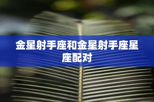 金星射手座和金星射手座星座配对