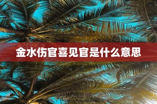 金水伤官喜见官是什么意思