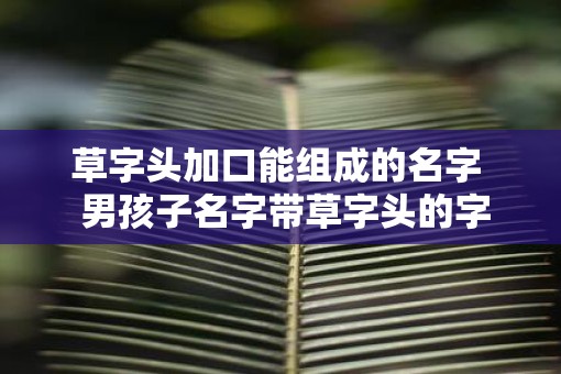 草字头加口能组成的名字  男孩子名字带草字头的字
