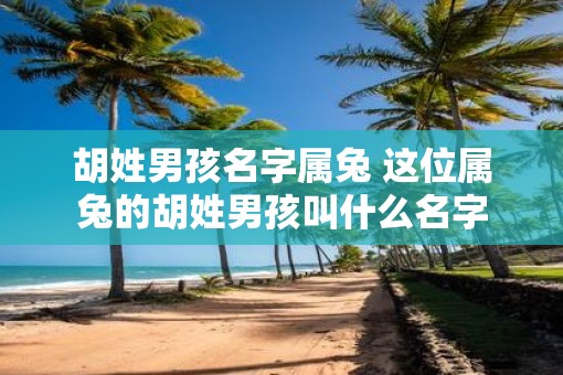 胡姓男孩名字属兔 这位属兔的胡姓男孩叫什么名字