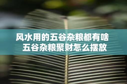 风水用的五谷杂粮都有啥  五谷杂粮聚财怎么摆放