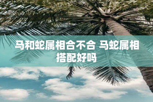 马和蛇属相合不合 马蛇属相搭配好吗