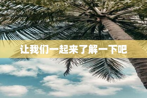 让我们一起来了解一下吧
