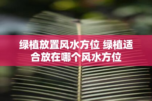 绿植放置风水方位 绿植适合放在哪个风水方位