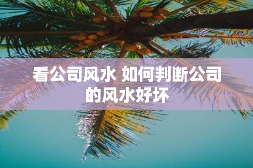 看公司风水 如何判断公司的风水好坏