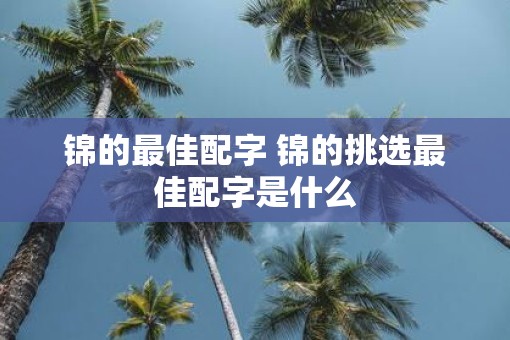 锦的最佳配字 锦的挑选最佳配字是什么