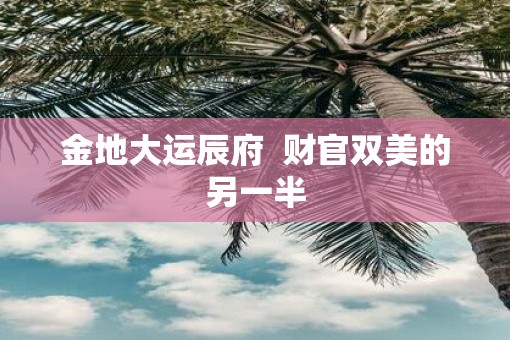 金地大运辰府  财官双美的另一半