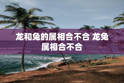 龙和兔的属相合不合 龙兔属相合不合