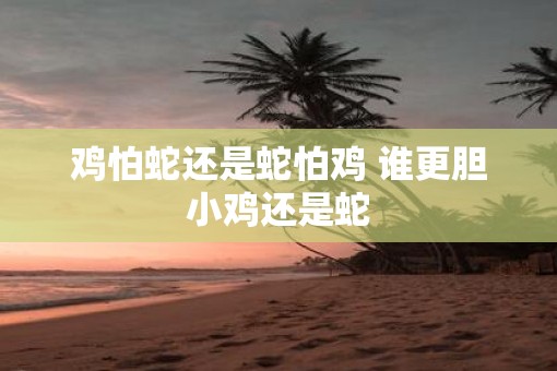 鸡怕蛇还是蛇怕鸡 谁更胆小鸡还是蛇