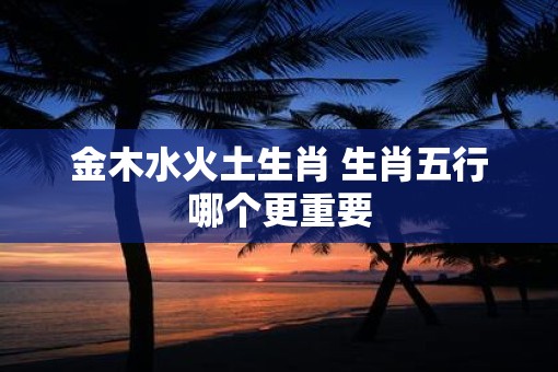 金木水火土生肖 生肖五行哪个更重要