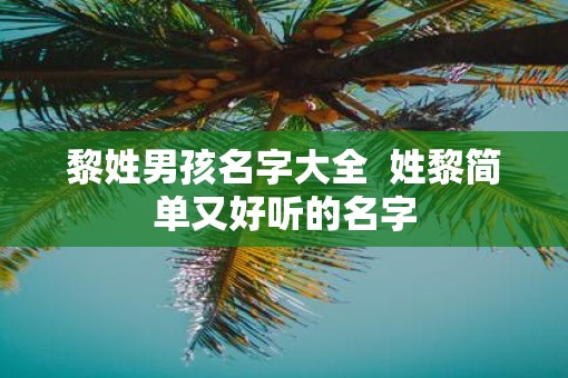 黎姓男孩名字大全  姓黎简单又好听的名字