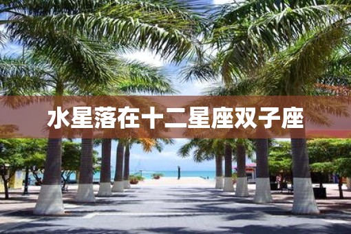 水星落在十二星座双子座 水星落在十二星座双子座