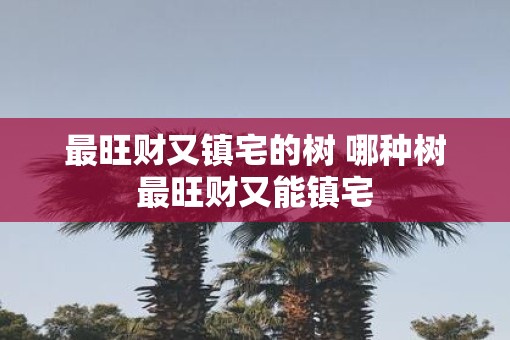 最旺财又镇宅的树 哪种树最旺财又能镇宅