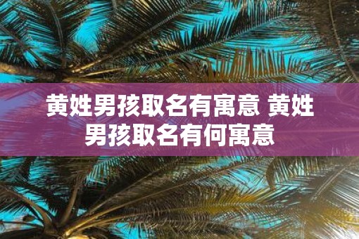 黄姓男孩取名有寓意 黄姓男孩取名有何寓意
