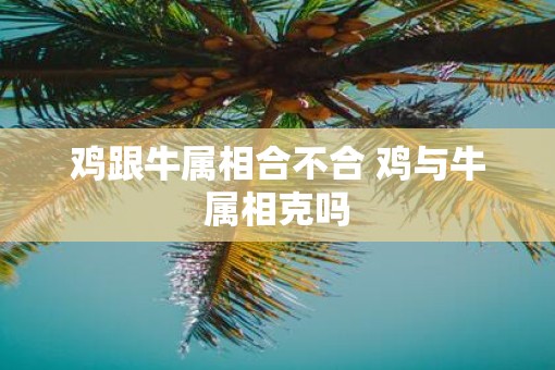 鸡跟牛属相合不合 鸡与牛属相克吗