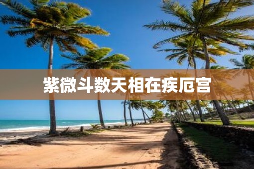 紫微斗数天相在疾厄宫