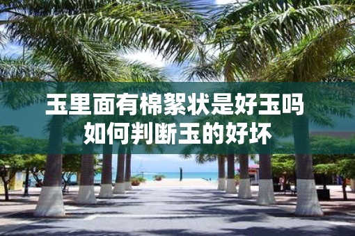 玉里面有棉絮状是好玉吗 如何判断玉的好坏
