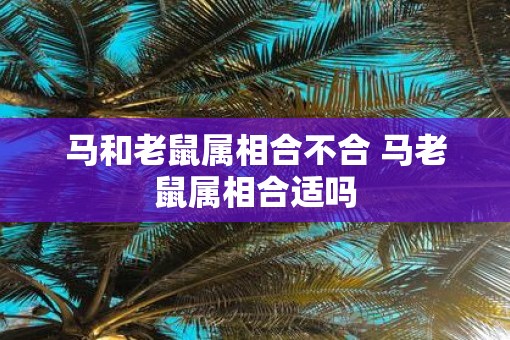 马和老鼠属相合不合 马老鼠属相合适吗