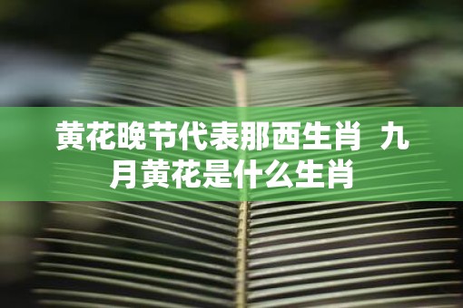 黄花晚节代表那西生肖  九月黄花是什么生肖